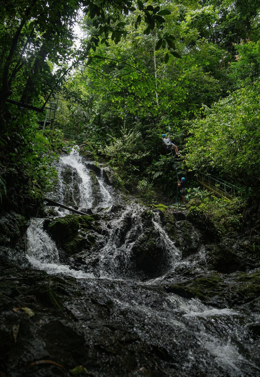 Collins Quepos Tours experience 7